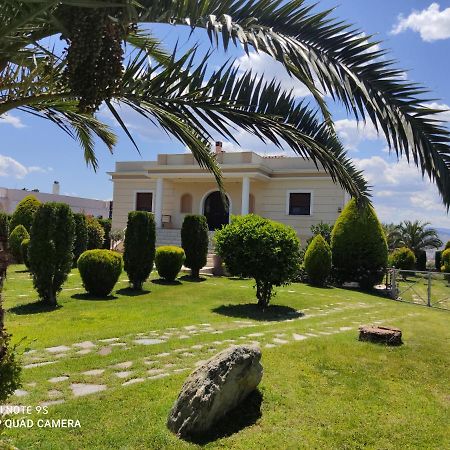 Luxury Villa Thea Волос Екстер'єр фото