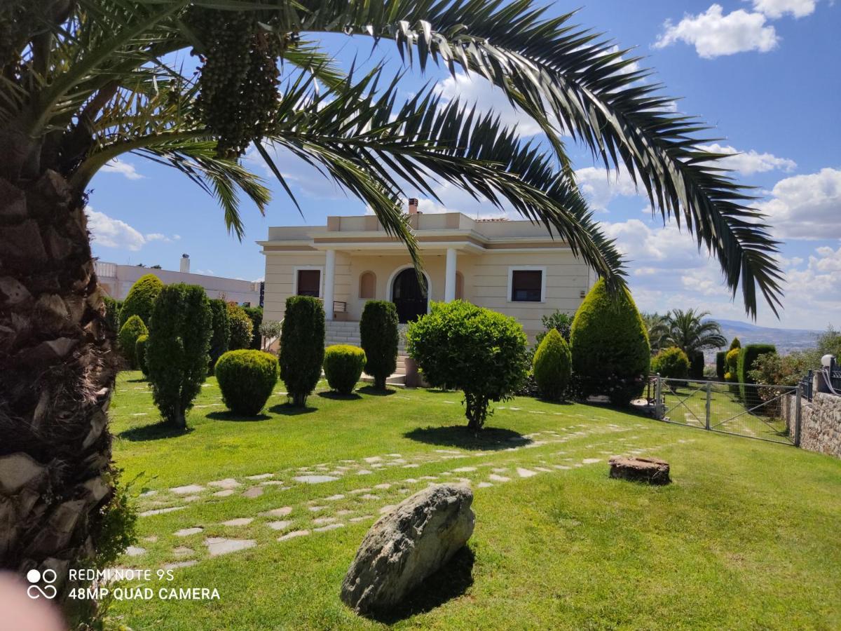 Luxury Villa Thea Волос Екстер'єр фото