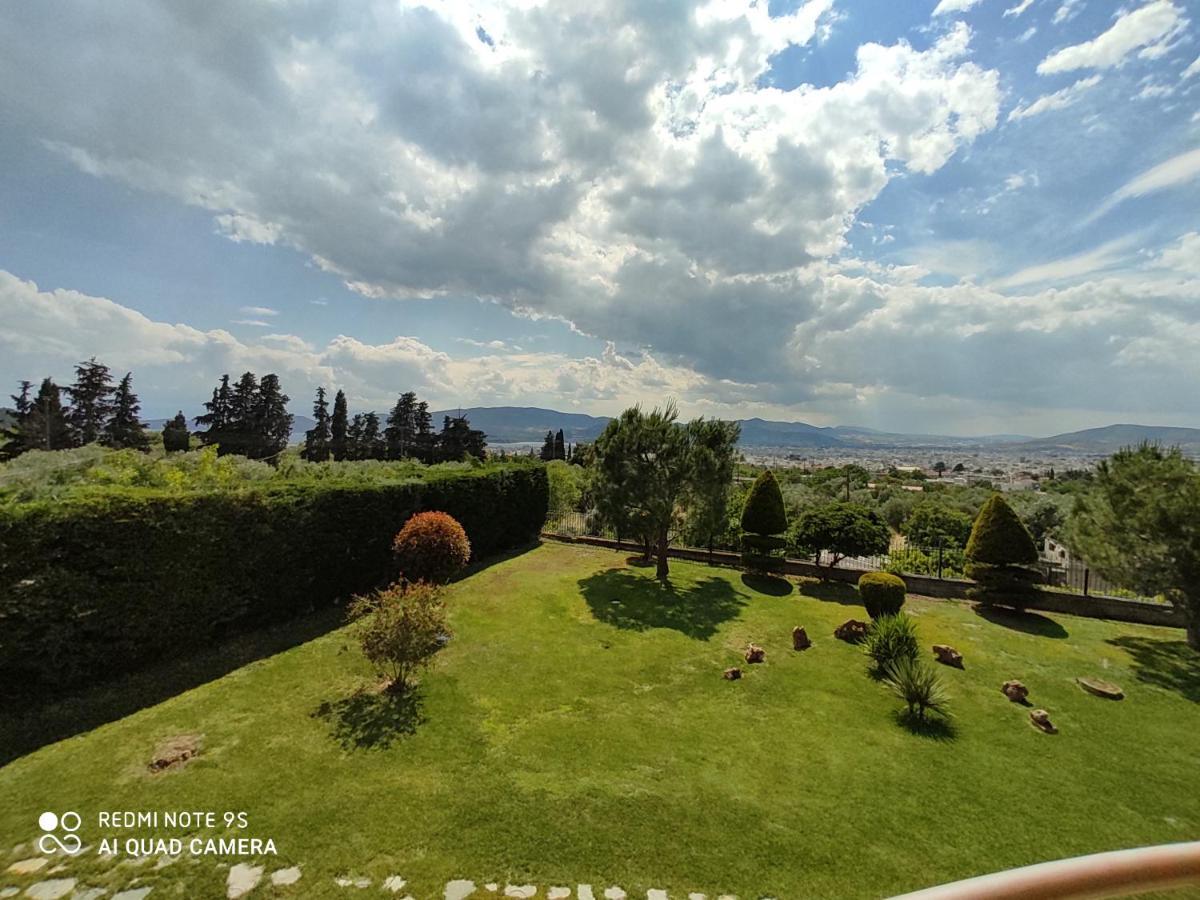 Luxury Villa Thea Волос Екстер'єр фото