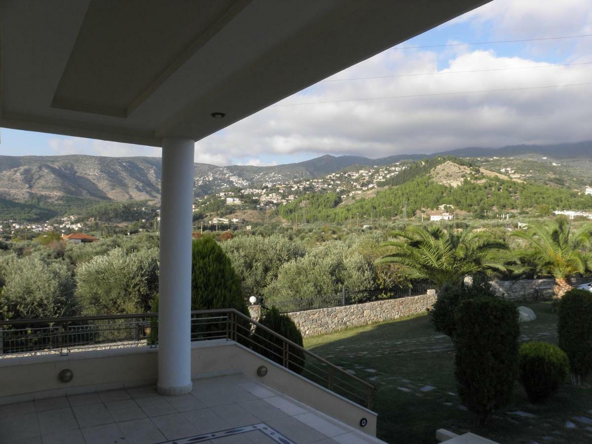 Luxury Villa Thea Волос Екстер'єр фото
